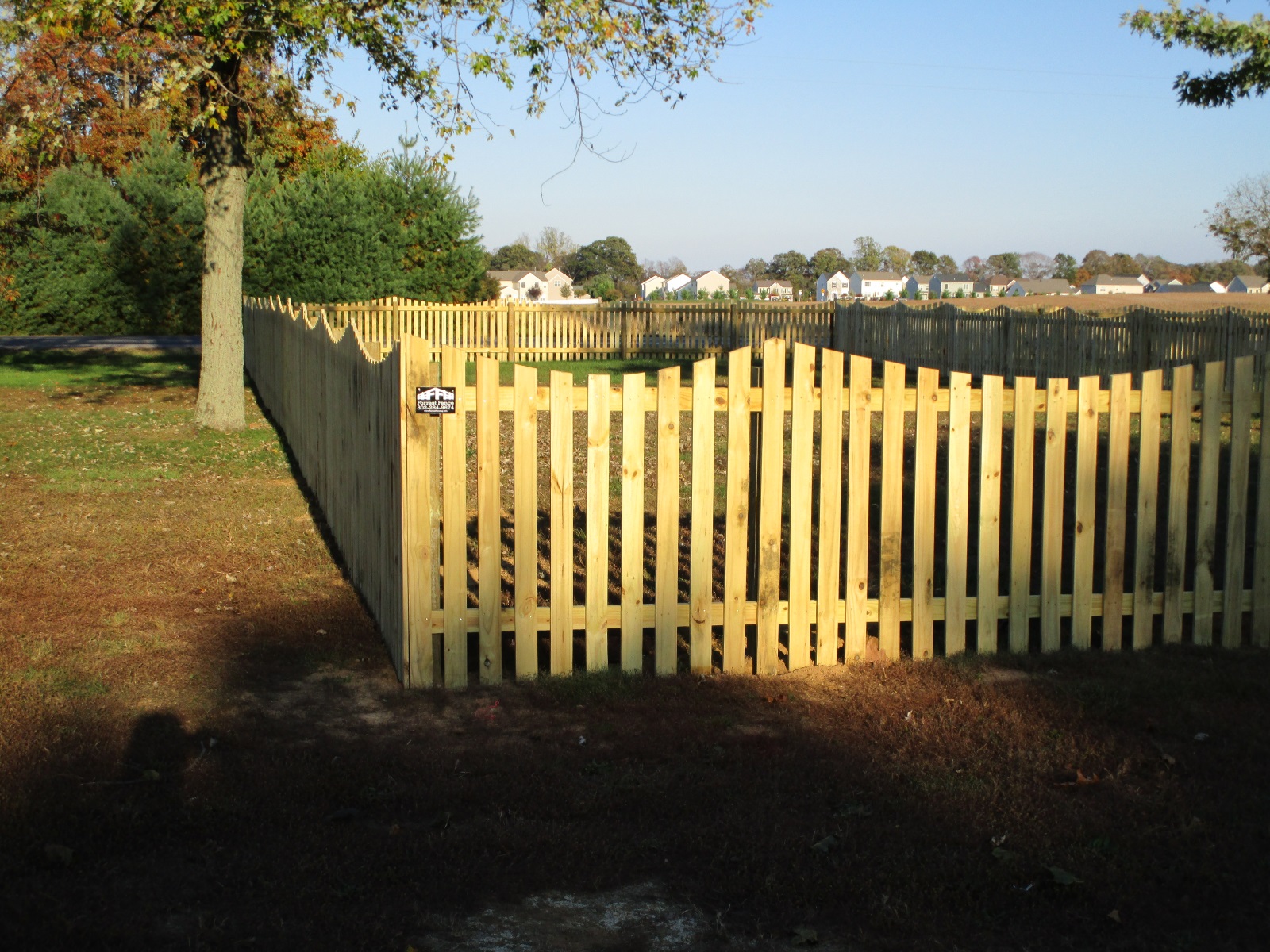 115_4ft-syp-scalloped-picket-fence Wood - Forrest Fencing