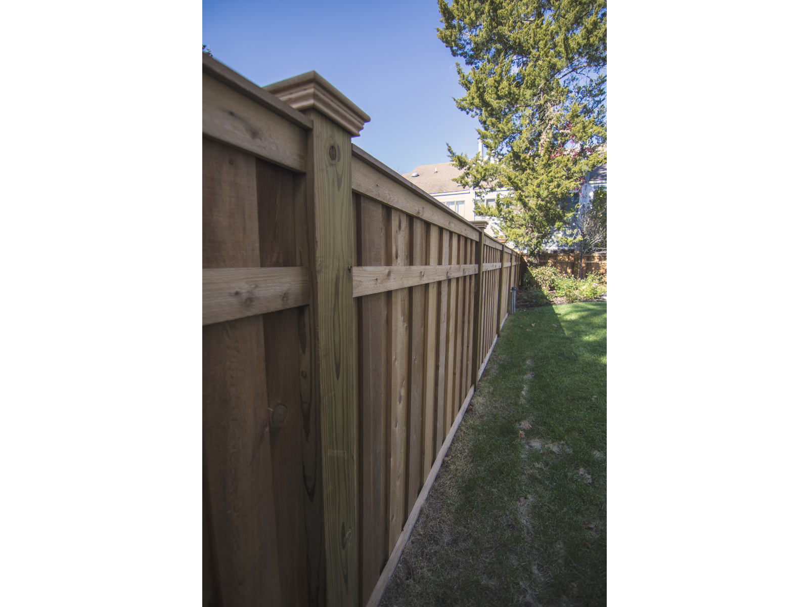 184_cedar-privacy-fence Wood - Forrest Fencing